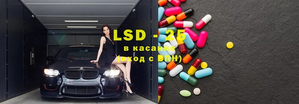PSILOCYBIN Вязники