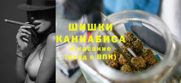 PSILOCYBIN Вязники