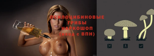 PSILOCYBIN Вязники