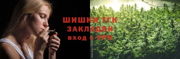 PSILOCYBIN Вязники