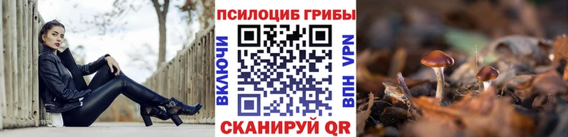 Псилоцибиновые грибы Psilocybine cubensis  shop официальный сайт  Пушкино 